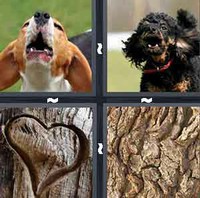 4 Pics 1 Word Levels Bark