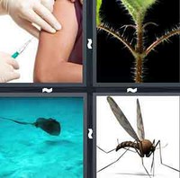 4 Pics 1 Word Levels Sting
