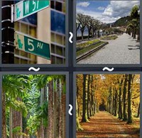 4 Pics 1 Word Levels Avenue