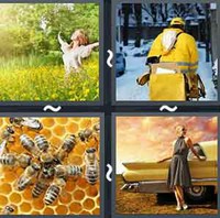 4 Pics 1 Word Levels Yellow