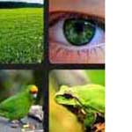 What's that Word Green