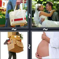 4 Pics 1 Word Levels Carry