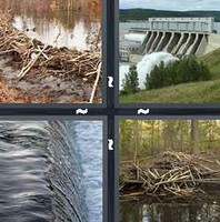 4 Pics 1 Word Levels Dam
