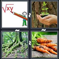 4 Pics 1 Word Root