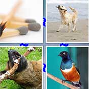 Whats the Word Stick