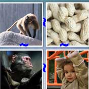 Whats the Word Monkey