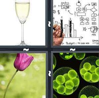 4 Pics 1 Word Levels Stem
