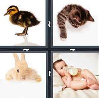 4 Pics 1 Word Levels Baby