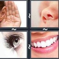 4 Pics 1 Word Levels Face