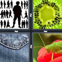 4 Pics 1 Word Levels Detail