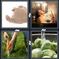 4 Pics 1 Word Levels Rinse