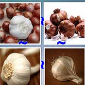 Whats the Word Garlic
