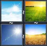 4 Pics 1 Word Sunny