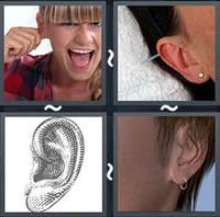4 Pics 1 Word Levels Earlobe
