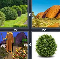 4 Pics 1 Word Levels Bush