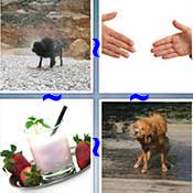 Whats the Word Shake
