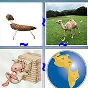 Whats the Word Animal