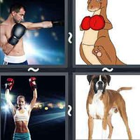 4 Pics 1 Word Levels Boxer