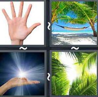 4 Pics 1 Word Levels Palm