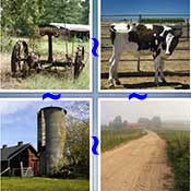 Whats the Word Farm