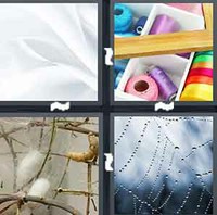 4 Pics 1 Word Levels Silk