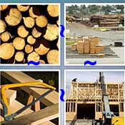Whats the Word Lumber