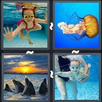 4 Pics 1 Word Levels Swim