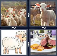 4 Pics 1 Word Lamb
