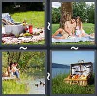 4 Pics 1 Word Levels Picnic