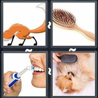 4 Pics 1 Word Brush