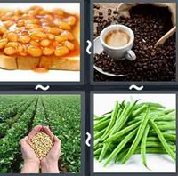 4 Pics 1 Word Levels Beans