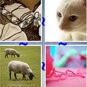 Whats the Word Wool
