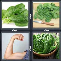 4 Pics 1 Word Levels Spinach