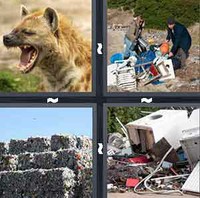 4 Pics 1 Word Scavenge