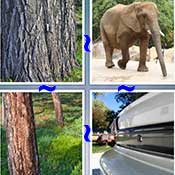 Whats the Word Trunk