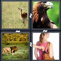 4 Pics 1 Word Levels Prey