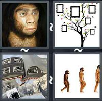 4 Pics 1 Word Levels Ancestor