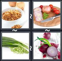 4 Pics 1 Word Levels Onion