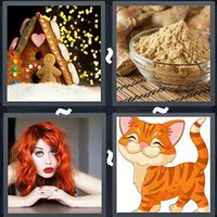4 Pics 1 Word Levels Ginger