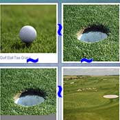 Whats the Word Golf