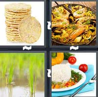 4 Pics 1 Word Levels Rice