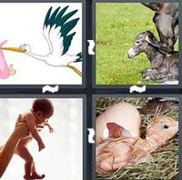 4 Pics 1 Word Levels Birth