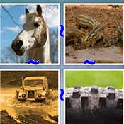 Whats the Word Dirt