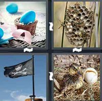 4 Pics 1 Word Levels Nest
