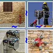 Whats the Word Hydrant