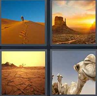 4 Pics 1 Word Desert