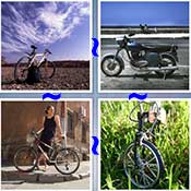 Whats the Word Bike