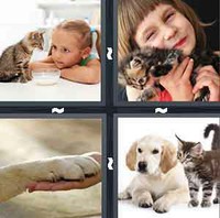 4 Pics 1 Word Pet