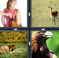 4 Pics 1 Word Levels Prey