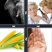 4 Pics 1 Word Ear